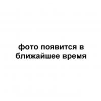 Шведская